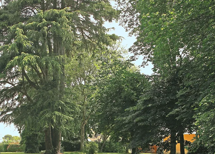 Logis Le Parc Hotel&spa Hotel 3*